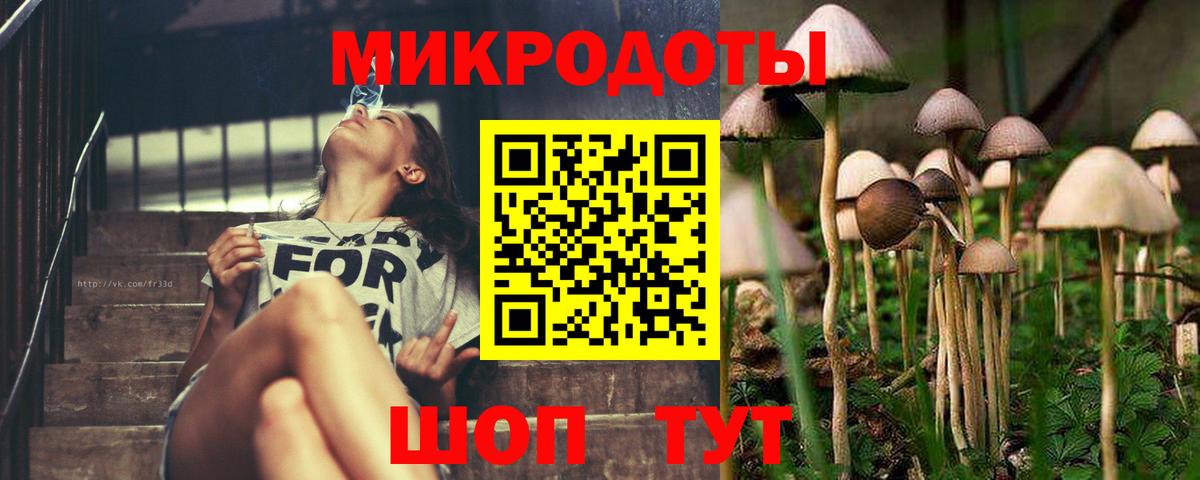 Галлюциногенные грибы Psilocybine cubensis  где купить наркоту  Вход с VPN  Бутурлиновка  Псилоцибиновые грибы Cubensis 